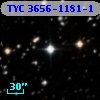 TYC 3656-1181-1