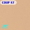 COUP    87