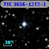 TYC 3656-1272-1