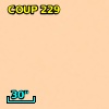COUP J053504.8-052302