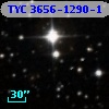 TYC 3656-1290-1