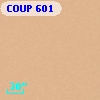 COUP   601