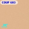 COUP   603