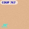 COUP   767