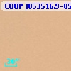 COUP J053516.9-051946