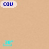 COUP J053518.5-052147