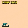 COUP J053519.4-052716