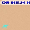 COUP J053519.6-052057