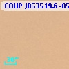 COUP J053519.8-051841