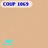 COUP  1069