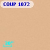 COUP  1072