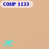 COUP  1133