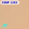 COUP  1183