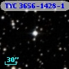 TYC 3656-1428-1