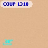 COUP  1310