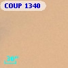 COUP  1340