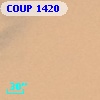 COUP  1420
