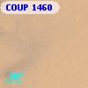 COUP  1460