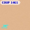 COUP  1461