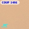 COUP  1486