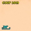 COUP J053554.4-052436