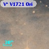 V* V1721 Ori
