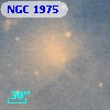 NGC  1975