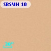 SBSMH 10