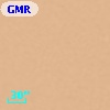 GMR L
