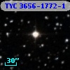 TYC 3656-1772-1