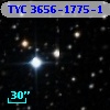 TYC 3656-1775-1