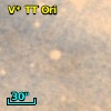 V* TT Ori
