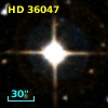 HD  36047