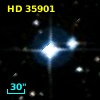 HD  35901