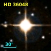 HD  36048