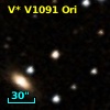 V* V1091 Ori