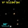 V* V1194 Ori