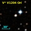 V* V1204 Ori