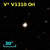 V* V1310 Ori