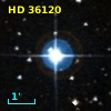 HD  36120