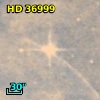 HD  36999