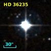 HD  36235