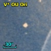 V* OU Ori