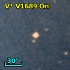 V* V1689 Ori