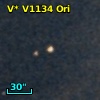 V* V1134 Ori