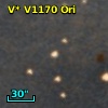V* V1170 Ori