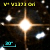 V* V1373 Ori