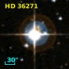 HD  36271