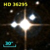 HD  36295