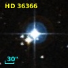 HD  36366